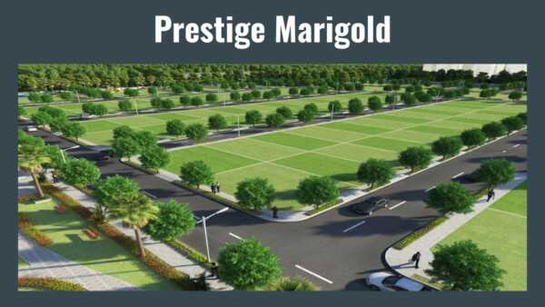 Prestige Marigold 60*40  Floor Plan