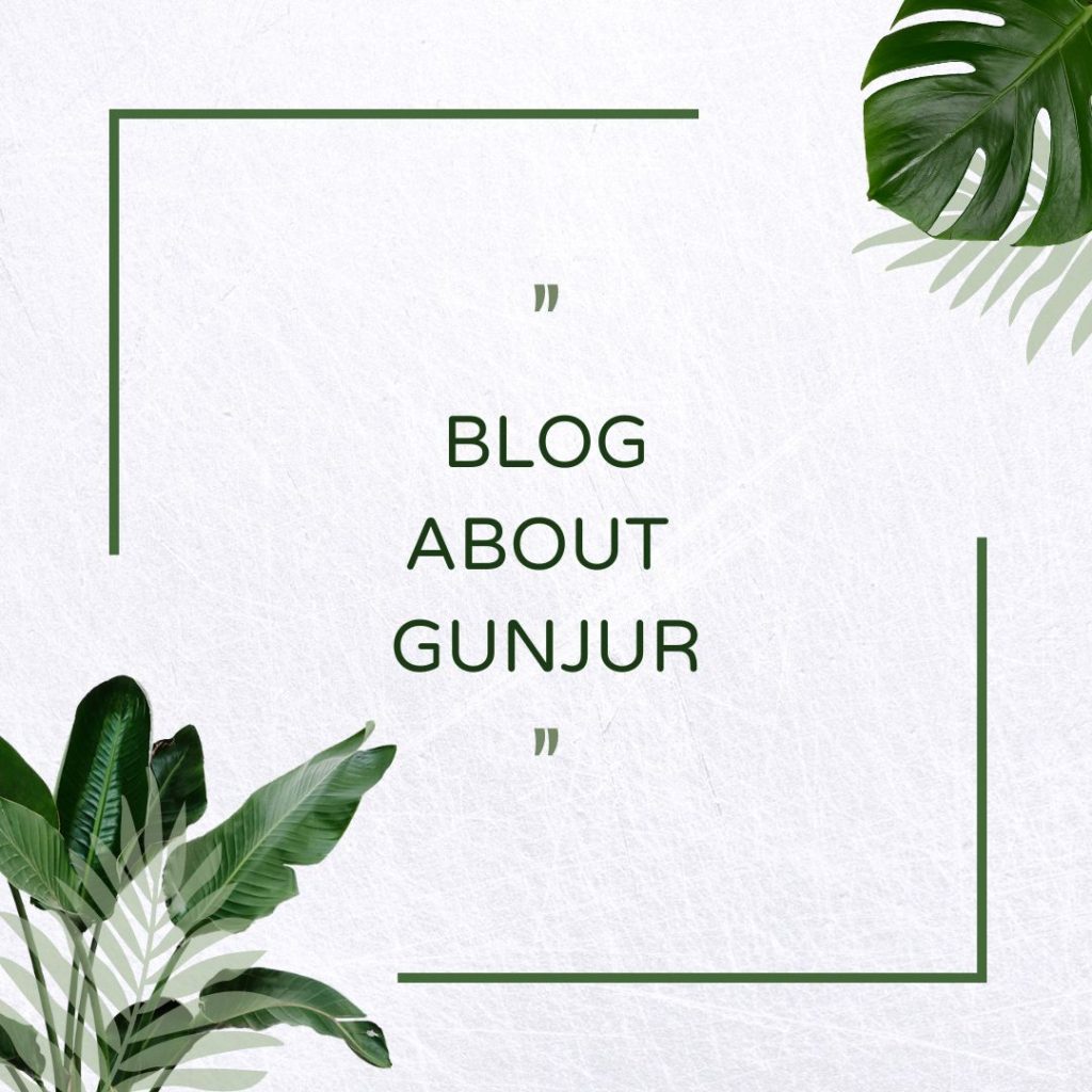 blog-about-gunjur