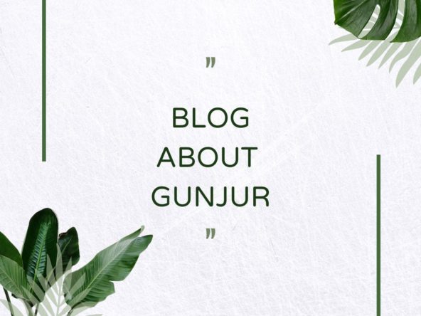 blog-about-gunjur