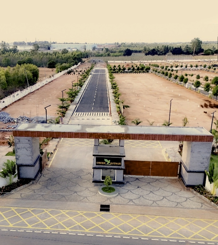 Green Avenue Banner Image 1