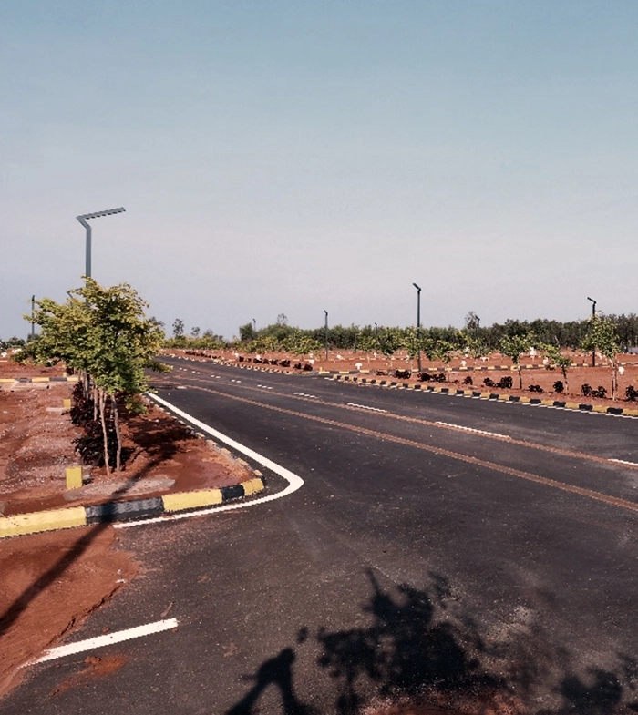 Green Avenue Banner Image 3