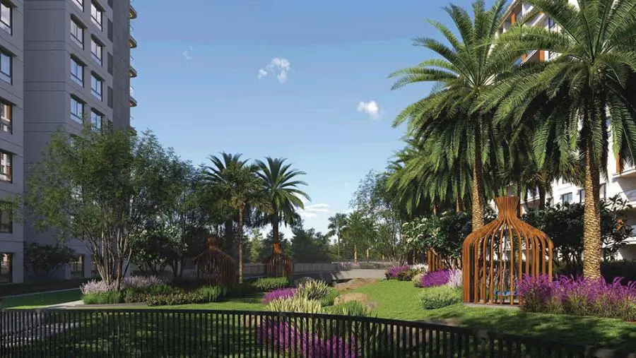 Century Regalia Banner Image 2