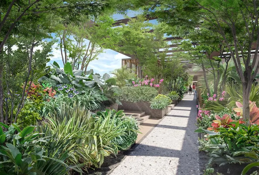 SNN Duomont Banner Image 2