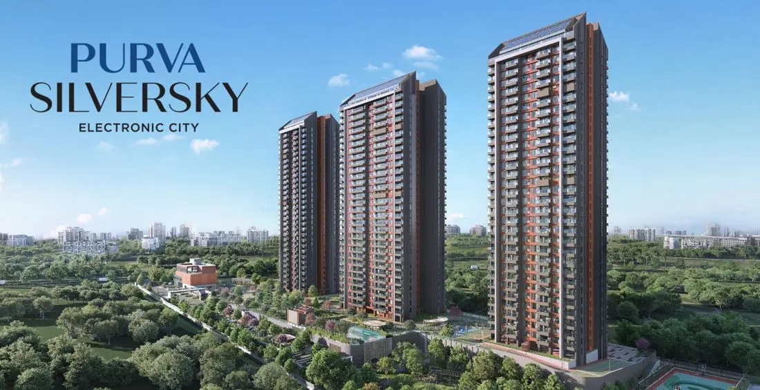 Purva Silversky Banner Image 8