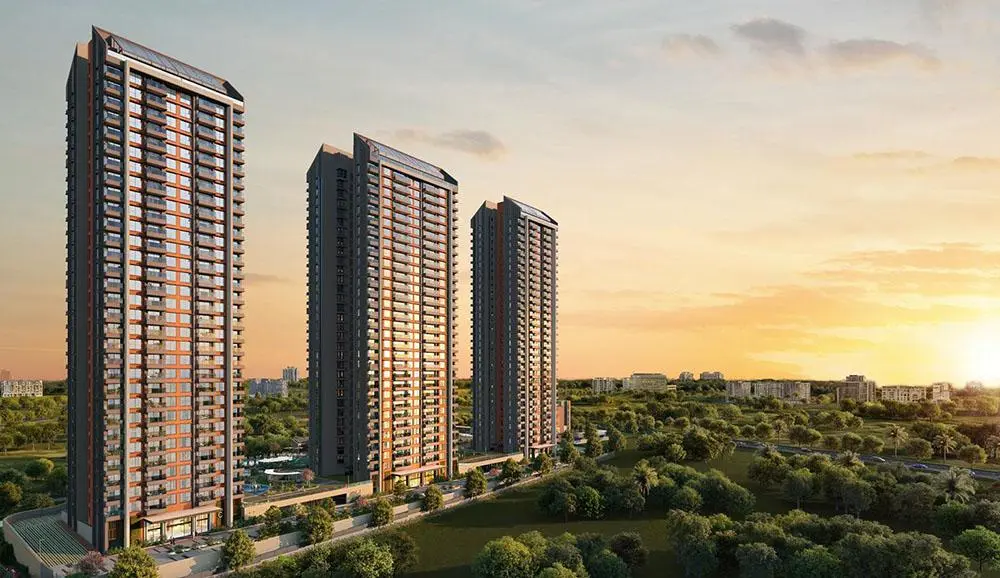 Purva Silversky Banner Image 9