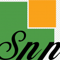 Snn Logo